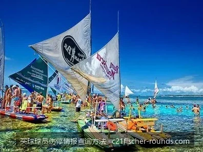 如何通过专业渠道查询世界杯买球球员伤停情报？